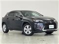 2019 Lexus UX