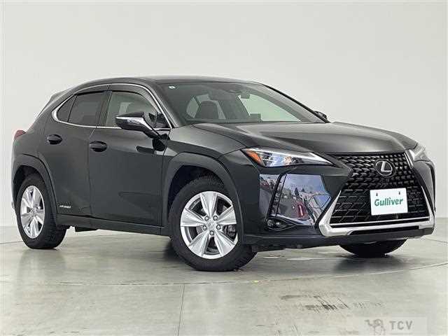 2019 Lexus UX