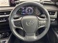 2019 Lexus UX