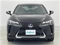 2019 Lexus UX