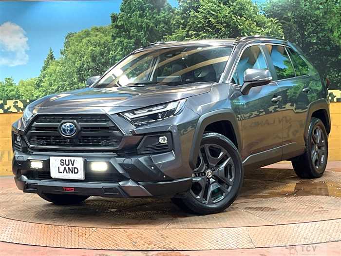 2022 Toyota RAV4