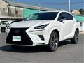 2019 Lexus NX