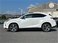 2019 Lexus NX