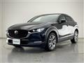 2021 Mazda CX-3