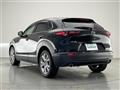 2021 Mazda CX-3
