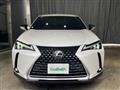 2019 Lexus UX