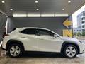 2019 Lexus UX