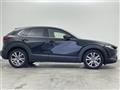 2020 Mazda CX-3