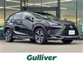 2018 Lexus NX