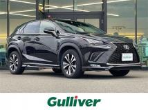 2018 Lexus NX