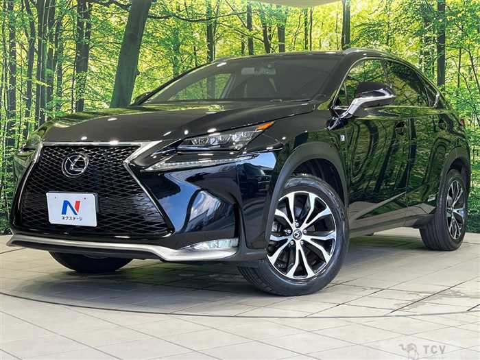 2015 Lexus NX