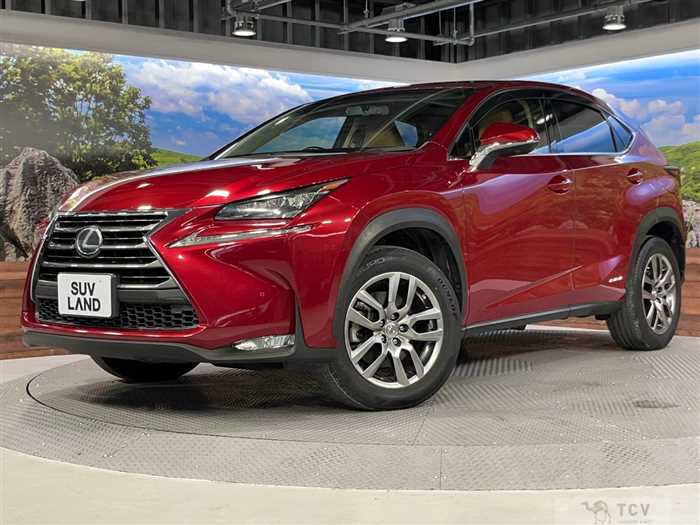 2016 Lexus NX