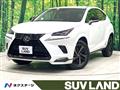 2019 Lexus NX