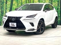 2019 Lexus NX