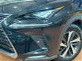 2019 Lexus NX
