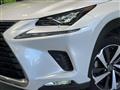 2020 Lexus NX