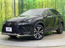 2019 Lexus NX