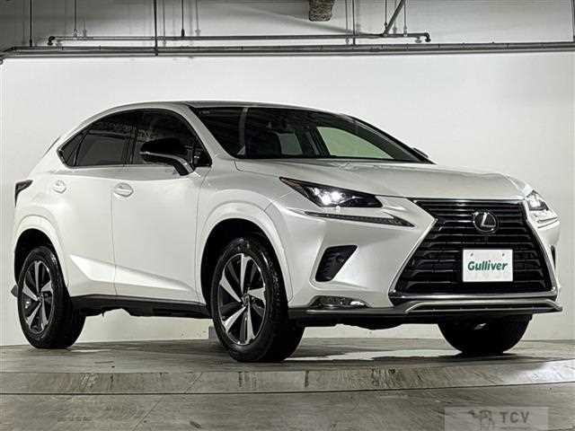 2021 Lexus NX