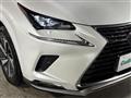 2021 Lexus NX