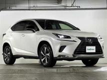 2021 Lexus NX