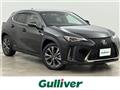 2019 Lexus UX
