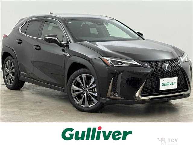 2019 Lexus UX