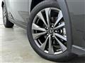 2019 Lexus UX