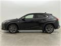 2019 Lexus UX