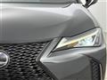 2019 Lexus UX