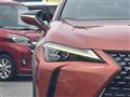 2019 Lexus UX