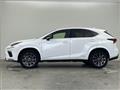 2020 Lexus NX