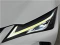 2019 Lexus UX