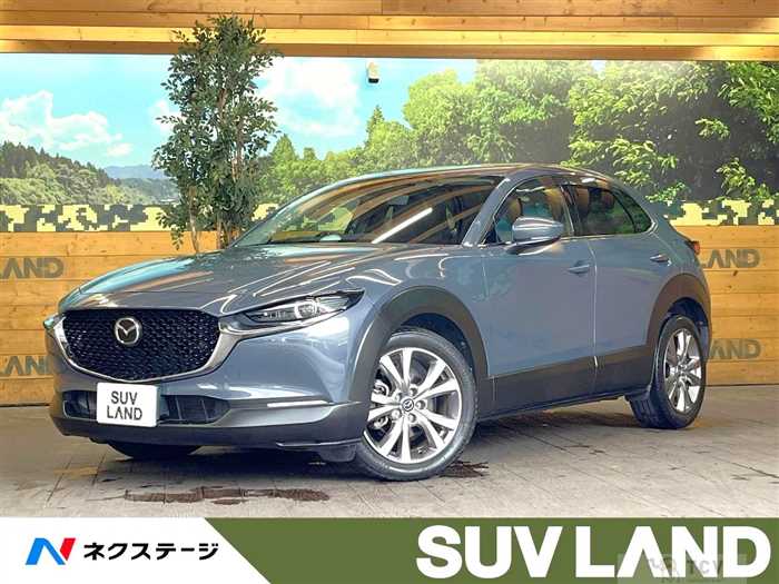 2019 Mazda Mazda Others