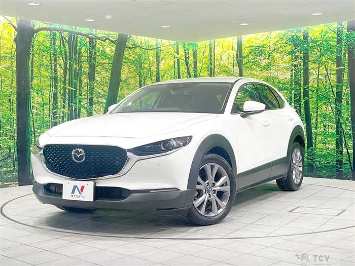 2020 Mazda Mazda Others