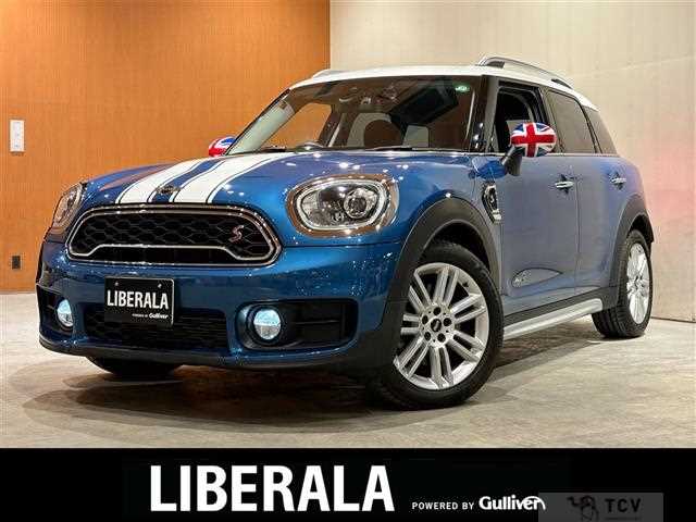 2017 BMW MINI