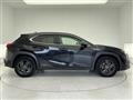 2019 Lexus UX
