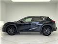 2019 Lexus UX