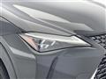 2019 Lexus UX