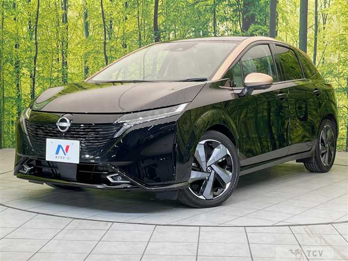 2021 Nissan Nissan Others