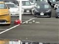 2023 Toyota Crown