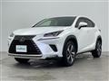 2019 Lexus NX