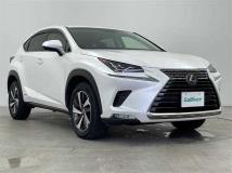 2019 Lexus NX