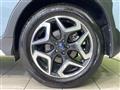 2019 Subaru Subaru Others