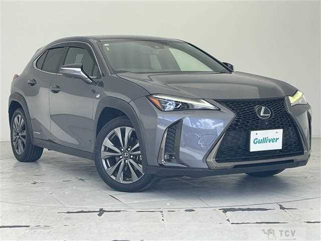 2019 Lexus UX