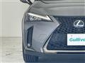 2019 Lexus UX