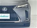 2019 Lexus UX