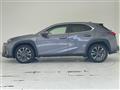 2019 Lexus UX