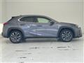 2019 Lexus UX