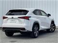 2019 Lexus NX