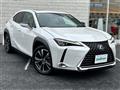 2019 Lexus UX